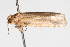  ( - 09BBLEP-04740)  @12 [ ] CreativeCommons - Attribution (2009) Unspecified Centre for Biodiversity Genomics