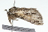  ( - 09BBLEP-04785)  @12 [ ] CreativeCommons - Attribution (2009) Unspecified Centre for Biodiversity Genomics
