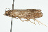  ( - 09BBLEP-04833)  @12 [ ] CreativeCommons - Attribution (2009) Unspecified Centre for Biodiversity Genomics