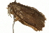  ( - 09BBELE-0926)  @12 [ ] CreativeCommons - Attribution (2009) Unspecified Centre for Biodiversity Genomics