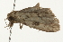  ( - 09BBELE-0117)  @12 [ ] CreativeCommons - Attribution (2009) Unspecified Centre for Biodiversity Genomics