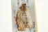  ( - 09BBELE-0134)  @12 [ ] CreativeCommons - Attribution (2009) Unspecified Centre for Biodiversity Genomics