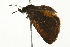  ( - 09BBELE-0175)  @13 [ ] CreativeCommons - Attribution (2009) Unspecified Centre for Biodiversity Genomics