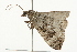 ( - 09BBELE-0206)  @13 [ ] CreativeCommons - Attribution (2009) Unspecified Centre for Biodiversity Genomics