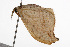  ( - 09BBELE-0497)  @13 [ ] CreativeCommons - Attribution (2009) Unspecified Centre for Biodiversity Genomics