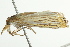  ( - BIOUG01369-H07)  @13 [ ] CreativeCommons - Attribution (2012) CBG Photography Group Centre for Biodiversity Genomics