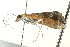  ( - BIOUG01370-D07)  @13 [ ] CreativeCommons - Attribution (2012) CBG Photography Group Centre for Biodiversity Genomics