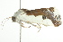  ( - BIOUG01398-D07)  @14 [ ] CreativeCommons - Attribution (2012) CBG Photography Group Centre for Biodiversity Genomics