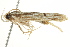  ( - BIOUG01398-H03)  @12 [ ] CreativeCommons - Attribution (2012) CBG Photography Group Centre for Biodiversity Genomics