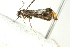  ( - BIOUG01451-A12)  @12 [ ] CreativeCommons - Attribution (2012) CBG Photography Group Centre for Biodiversity Genomics