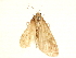  ( - BIOUG01546-B07)  @13 [ ] CreativeCommons - Attribution (2019) CBG Photography Group Centre for Biodiversity Genomics