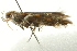  ( - BIOUG01465-H02)  @13 [ ] CreativeCommons - Attribution (2012) CBG Photography Group Centre for Biodiversity Genomics