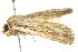  ( - BIOUG01468-C03)  @13 [ ] CreativeCommons - Attribution (2012) CBG Photography Group Centre for Biodiversity Genomics
