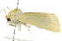 ( - BIOUG01542-B07)  @12 [ ] CreativeCommons - Attribution (2012) CBG Photography Group Centre for Biodiversity Genomics