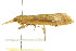  ( - BIOUG01542-F10)  @13 [ ] CreativeCommons - Attribution (2012) CBG Photography Group Centre for Biodiversity Genomics