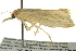  ( - BIOUG01552-E05)  @13 [ ] CreativeCommons - Attribution (2012) CBG Photography Group Centre for Biodiversity Genomics