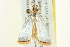  ( - BIOUG01824-F04)  @13 [ ] CreativeCommons - Attribution (2012) CBG Photography Group Centre for Biodiversity Genomics