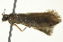  ( - BIOUG01838-C09)  @12 [ ] CreativeCommons - Attribution (2012) CBG Photography Group Centre for Biodiversity Genomics