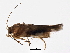  ( - BIOUG01860-G11)  @12 [ ] CreativeCommons - Attribution (2012) CBG Photography Group Centre for Biodiversity Genomics