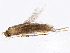  ( - BIOUG01927-C05)  @12 [ ] CreativeCommons - Attribution (2012) CBG Photography Group Centre for Biodiversity Genomics