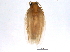  ( - BIOUG01928-A01)  @13 [ ] CreativeCommons - Attribution (2014) CBG Photography Group Centre for Biodiversity Genomics