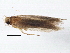 ( - BIOUG01903-D04)  @12 [ ] CreativeCommons - Attribution (2014) CBG Photography Group Centre for Biodiversity Genomics