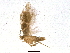  ( - BIOUG01925-G05)  @12 [ ] CreativeCommons - Attribution (2012) CBG Photography Group Centre for Biodiversity Genomics