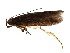  ( - BIOUG01947-C08)  @12 [ ] CreativeCommons - Attribution (2012) CBG Photography Group Centre for Biodiversity Genomics