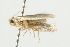  ( - 10BBCLP-0677)  @12 [ ] CreativeCommons - Attribution (2011) CBG Photography Group Centre for Biodiversity Genomics
