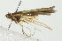  ( - 10BBCLP-0707)  @13 [ ] CreativeCommons - Attribution (2011) CBG Photography Group Centre for Biodiversity Genomics