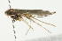  ( - 10BBCLP-0711)  @12 [ ] CreativeCommons - Attribution (2011) CBG Photography Group Centre for Biodiversity Genomics
