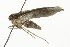  ( - 10BBCLP-0726)  @12 [ ] CreativeCommons - Attribution (2011) CBG Photography Group Centre for Biodiversity Genomics