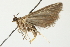  ( - 10BBCLP-0734)  @11 [ ] CreativeCommons - Attribution (2011) CBG Photography Group Centre for Biodiversity Genomics