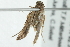  ( - 10BBCLP-0780)  @12 [ ] CreativeCommons - Attribution (2011) CBG Photography Group Centre for Biodiversity Genomics