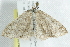  ( - 10BBCLP-0873)  @13 [ ] CreativeCommons - Attribution (2011) CBG Photography Group Centre for Biodiversity Genomics