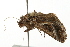  ( - 09BBELE-1187)  @13 [ ] CreativeCommons - Attribution (2009) Unspecified Centre for Biodiversity Genomics