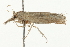  ( - 09BBELE-1192)  @13 [ ] CreativeCommons - Attribution (2009) Unspecified Centre for Biodiversity Genomics