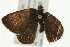  ( - 09BBELE-1270)  @13 [ ] CreativeCommons - Attribution (2009) Unspecified Centre for Biodiversity Genomics