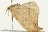  ( - 09BBELE-1451)  @13 [ ] CreativeCommons - Attribution (2009) Unspecified Centre for Biodiversity Genomics