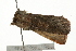  ( - 09BBELE-1693)  @14 [ ] CreativeCommons - Attribution (2009) Unspecified Centre for Biodiversity Genomics