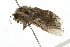  ( - 09BBELE-1714)  @12 [ ] CreativeCommons - Attribution (2009) Unspecified Centre for Biodiversity Genomics