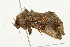  ( - 09BBELE-1748)  @13 [ ] CreativeCommons - Attribution (2009) Unspecified Centre for Biodiversity Genomics