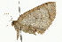  ( - 09BBELE-1773)  @12 [ ] CreativeCommons - Attribution (2009) Unspecified Centre for Biodiversity Genomics