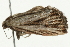  ( - 09BBELE-1801)  @12 [ ] CreativeCommons - Attribution (2009) Unspecified Centre for Biodiversity Genomics