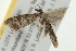  ( - 09BBELE-1837)  @12 [ ] CreativeCommons - Attribution (2009) Unspecified Centre for Biodiversity Genomics