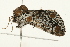  ( - 09BBELE-1901)  @12 [ ] CreativeCommons - Attribution (2010) Unspecified Centre for Biodiversity Genomics