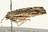  ( - 09BBELE-1912)  @12 [ ] CreativeCommons - Attribution (2010) Unspecified Centre for Biodiversity Genomics