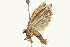  ( - 09BBELE-1922)  @12 [ ] CreativeCommons - Attribution (2010) Unspecified Centre for Biodiversity Genomics