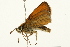  ( - 09BBELE-1982)  @14 [ ] CreativeCommons - Attribution (2010) Unspecified Centre for Biodiversity Genomics