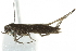  ( - 10BBCLP-2065)  @12 [ ] CreativeCommons - Attribution (2011) CBG Photography Group Centre for Biodiversity Genomics